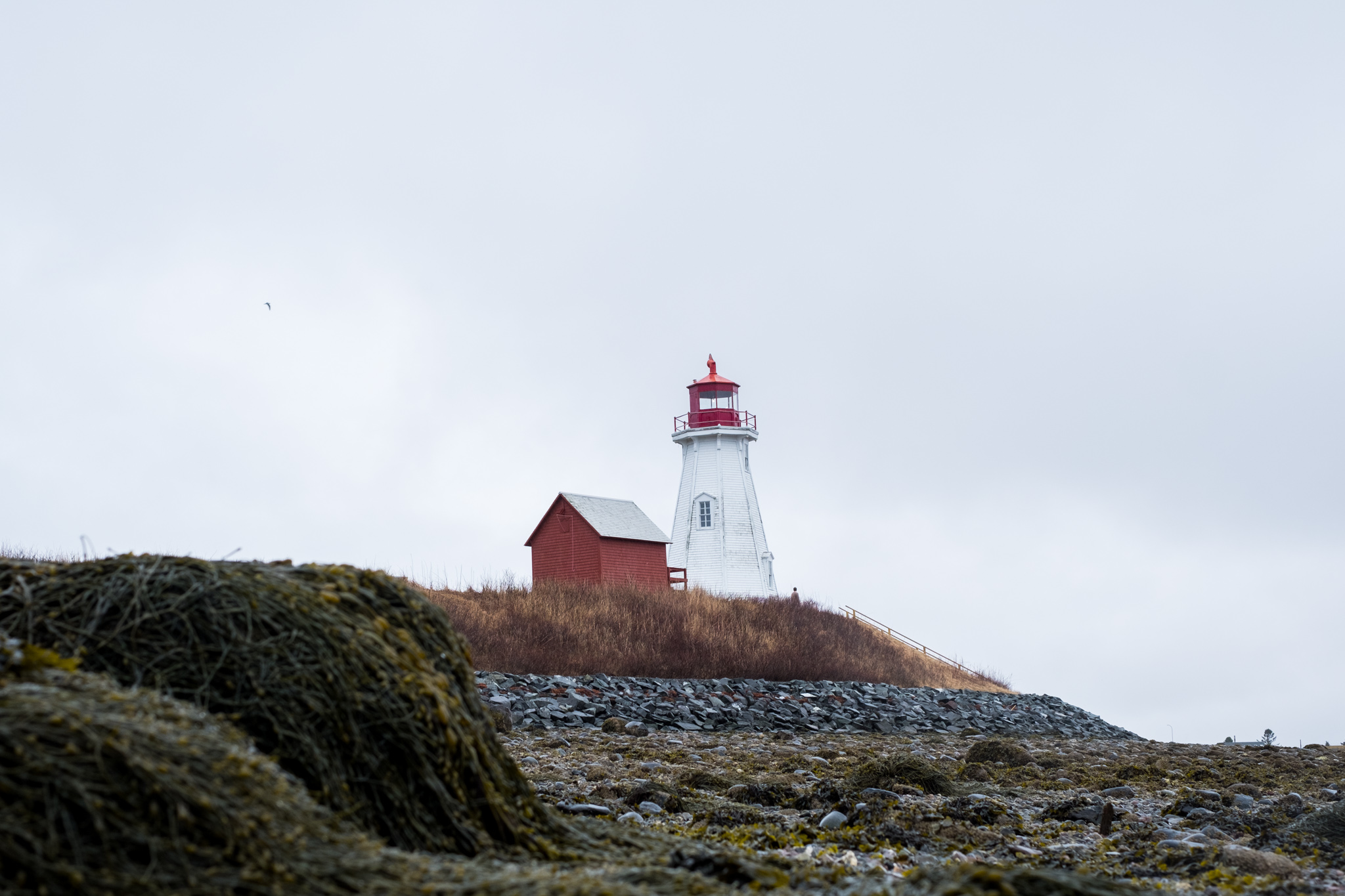 Campobello Island-00